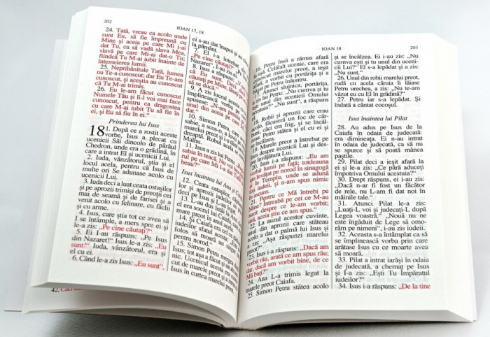 Noul Testament si Psalmii [2]