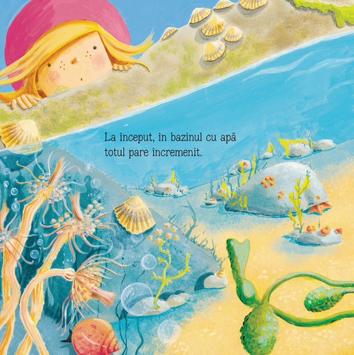 Pe tarmul marii (Usborne) [3]