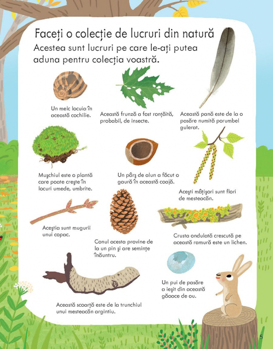 Prima mea carte despre natura (Usborne) [3]