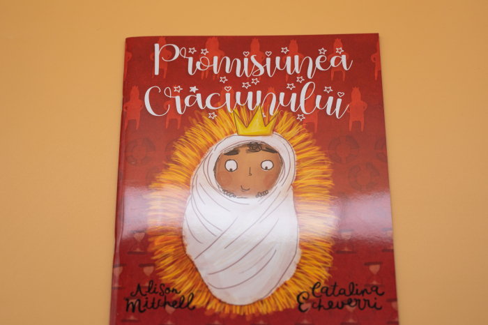 Promisiunea Craciunului (seria: Povesti care spun adevarul) [14]