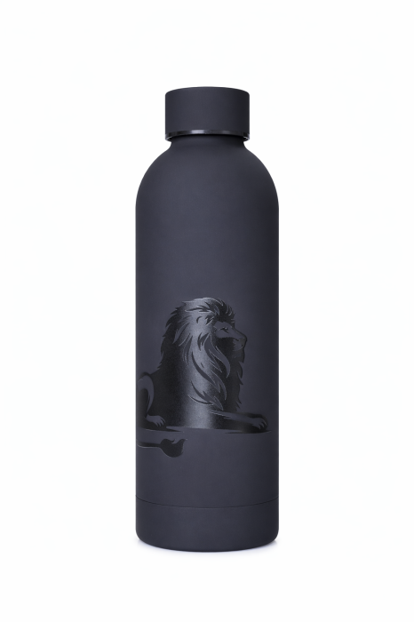 Termos- Domnul este taria mea [2]