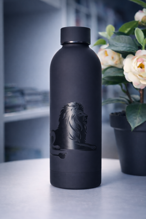 Termos- Domnul este taria mea [3]