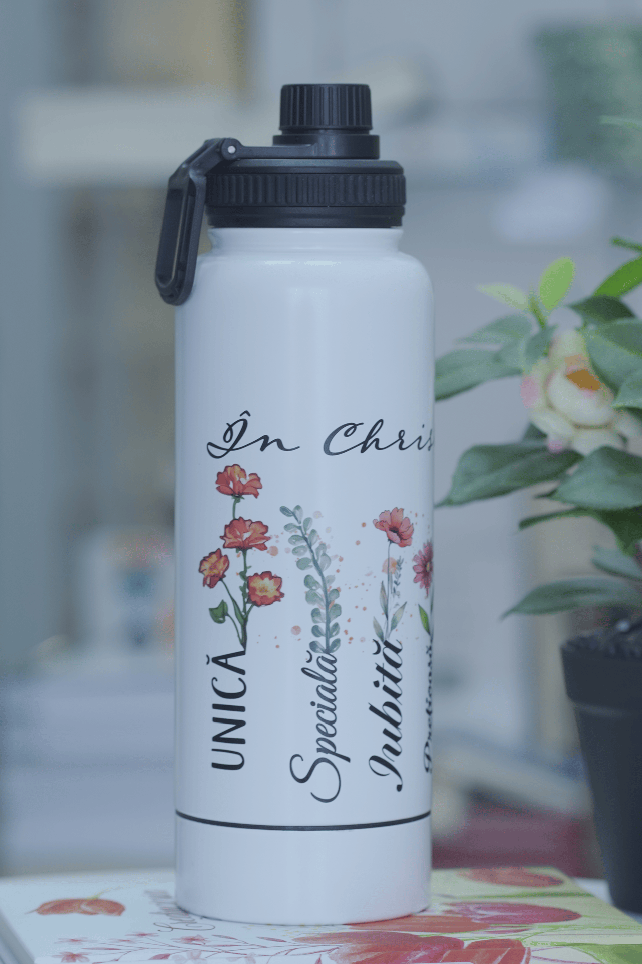 Termos - In Cristos sunt [3]