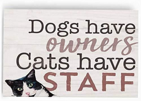 Dogs have owners cats have staff [1]