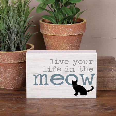 Live you life in the meow [0]