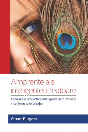 Teologie - Amprente ale inteligentei divine