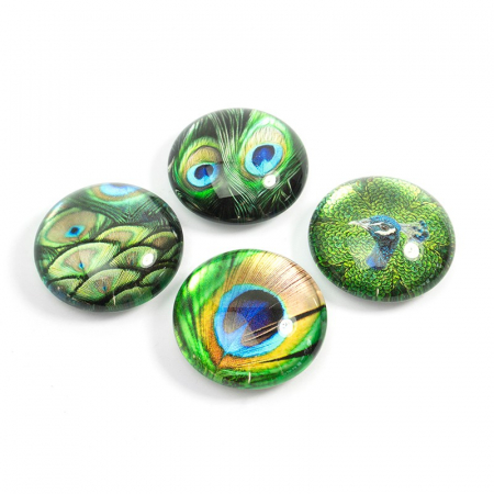 Cadouri - Set 4 magneti Peacock