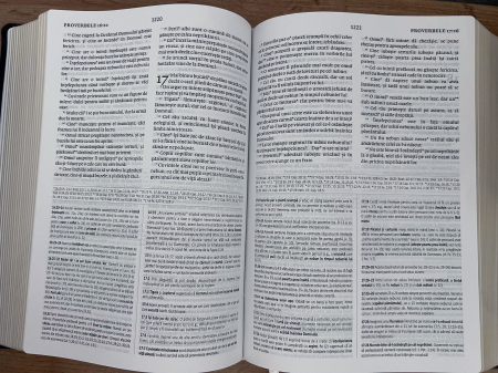 Biblia de studiu Cornilescu - piele ecologica bordo [4]