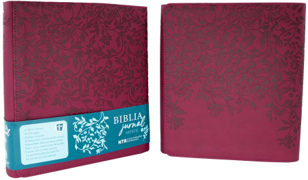 Biblia Jurnal Artistic [12]