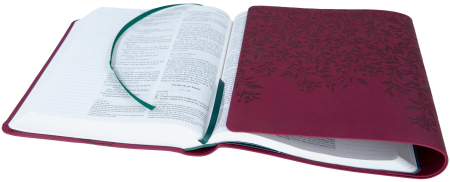 Biblia Jurnal Artistic [2]