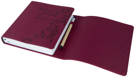 Biblia Jurnal Artistic [6]