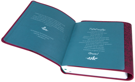 Biblia Jurnal Artistic [3]