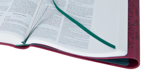 Biblia Jurnal Artistic [1]