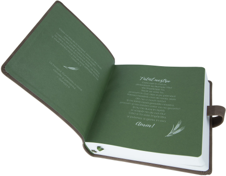 Biblia Jurnal Rustic [9]