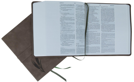 Biblia Jurnal Rustic [11]