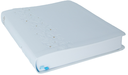 Biblia Jurnal Select [2]