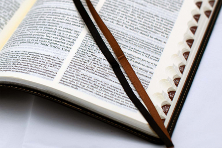 Biblia NTR mare Confort [5]