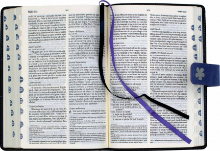 Biblia NTR medie Elegant [6]