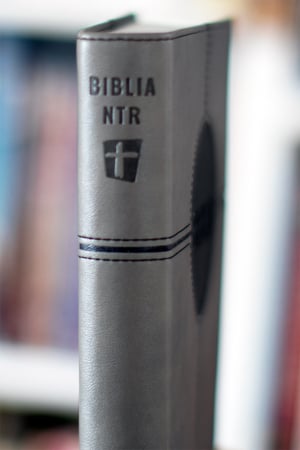 Biblia NTR medie Modern [7]
