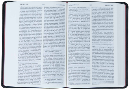 Biblia NTR medie Standard [9]