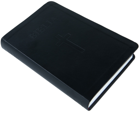 Biblia NTR medie Standard [3]