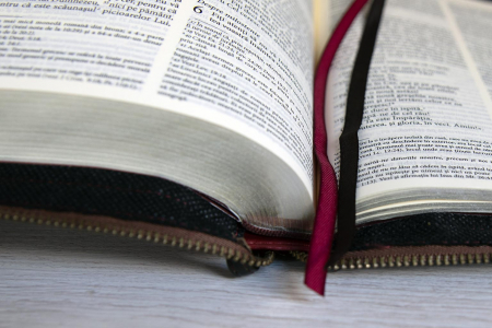 Biblia NTR medie Vintage (fermoar/capsa) [4]