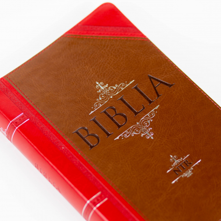 Biblia NTR - Vintage (Maro/Rosu) [6]