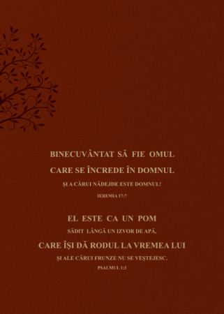 Biblia Speranta in Suferinta - Maro [1]