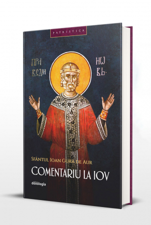 Comentarii - Comentariu la Iov