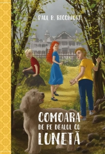 Copii - Comoara de pe Dealul cu Luneta