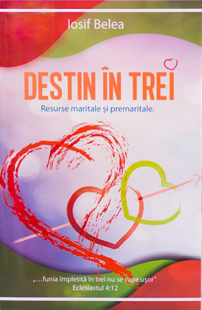 Viata de familie - Destin in trei. Resurse maritale si premaritale