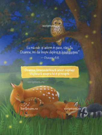 Domnul sa te binecuvanteze (Seria Aventuri pentru suflet) [2]