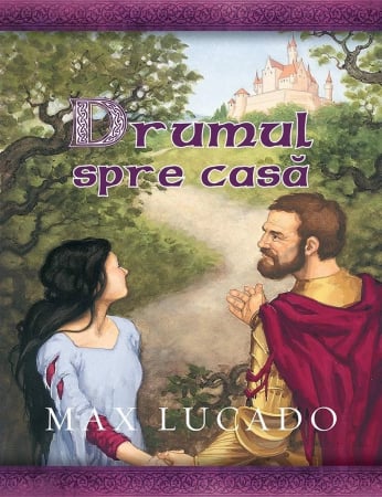 Povestiri - Drumul spre casa (Seria Comoara Copilariei)