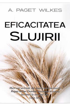 Instrumente teologice - Eficacitatea slujirii