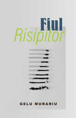 Carti - Fiul Risipitor