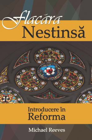 Teologie - Flacara nestinsa. Introducere in Reforma