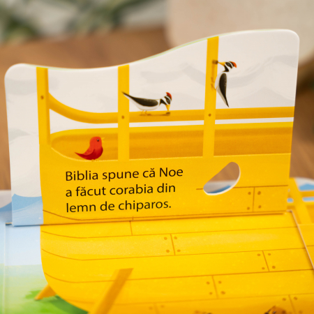 Ia te uita! Noe - priveste si exploreaza [3]