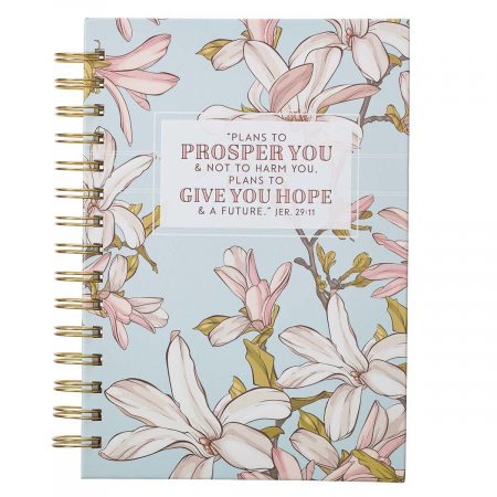 Plans to Prosper You - Jeremiah 29:11 [0]