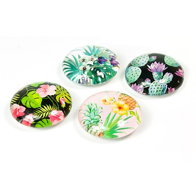 Cadouri - Set 4 magneti Jungle Flower
