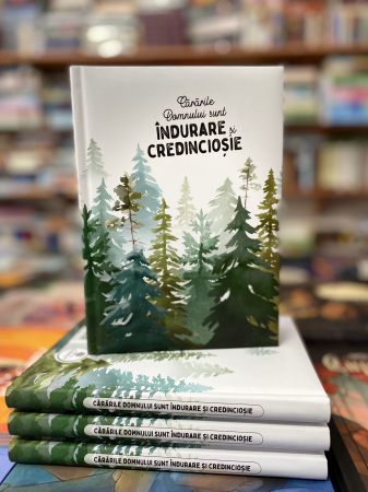 Jurnal: Cararile Domnului sunt indurare si credinciosie [3]