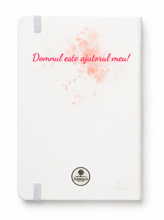 Jurnal - Domnul este sprijinul sufletului meu! [2]