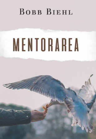 Viata de zi cu zi - Mentorarea. Cum sa gasesti un mentor si cum sa devii unul