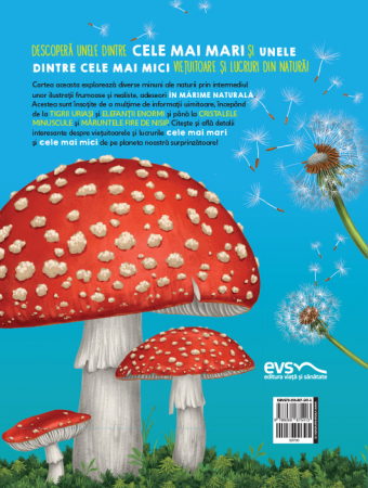 Mic si mare, o mirare [5]