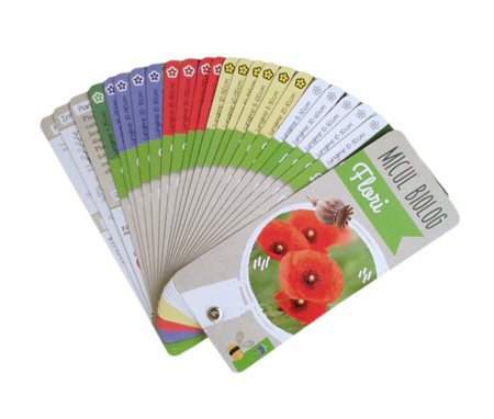 Micul Biolog - Flori [1]