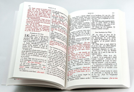 Noul Testament si Psalmii [1]