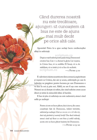 Pe calea florilor salbatice [1]