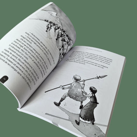 Pe urmele vikingilor, vol. 1. Seria Dincolo de timp [2]