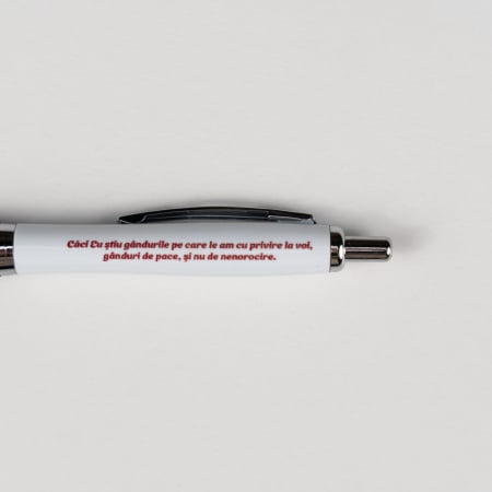 Instrumente de scris - Pix plastic - Caci Eu stiu gandurile (50 buc)