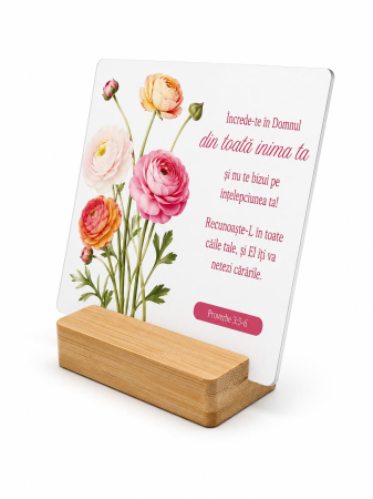 Placheta - Increde-te in Domnul... - Gramma.ro [1]