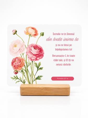 Placheta - Placheta - Increde-te in Domnul... - Gramma.ro